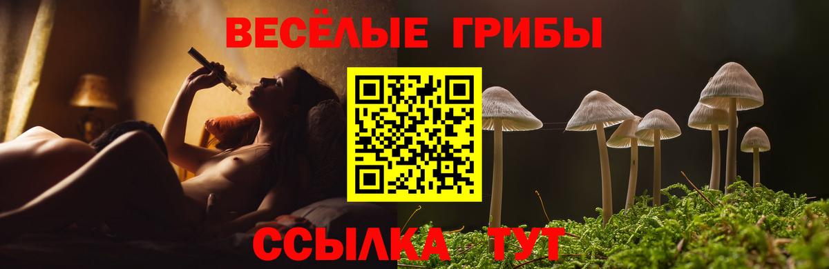 Псилоцибиновые грибы Magic Shrooms  Вход с VPN  Соликамск 